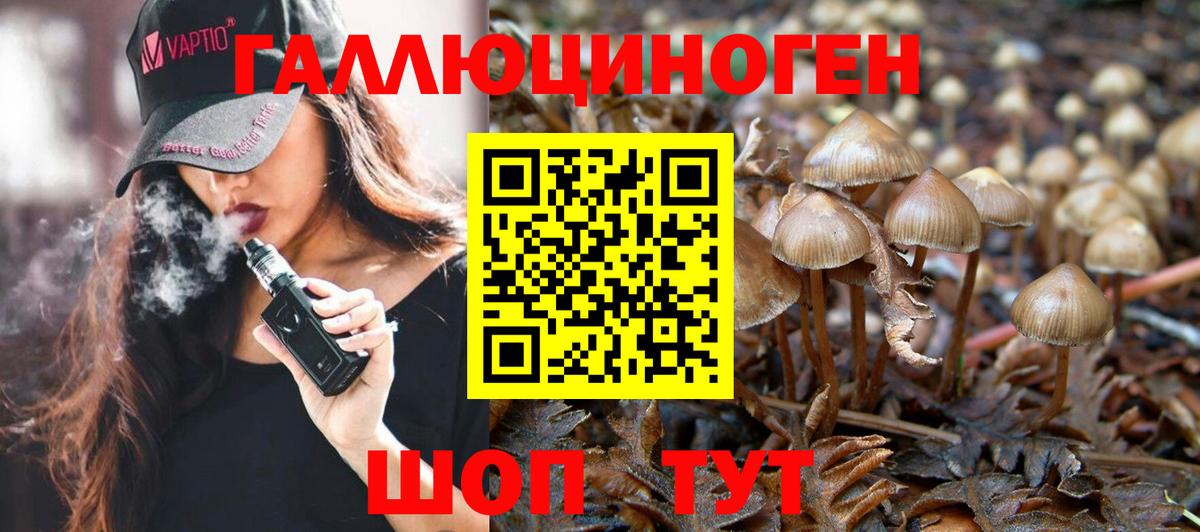 Острогожск  Галлюциногенные грибы Psilocybine cubensis  Вход с VPN 
